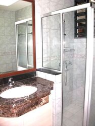 Carissa Park Condominium (D17), Condominium #534730641